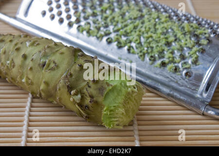 Frischer Wasabi - Fresh Wasabi Stock Photo