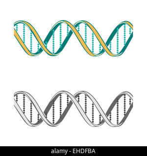 Set of two  DNA symbols on white background.  Illustration Stock Photo