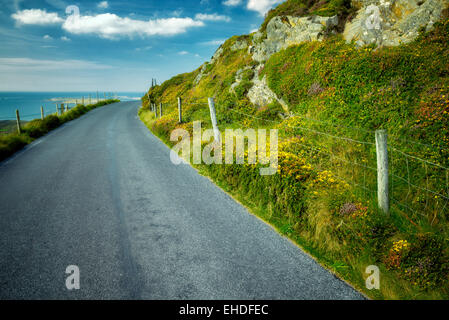 Road and fence with wildflowers. Sky Loop Road. Clifden, Ireland Stock Photo