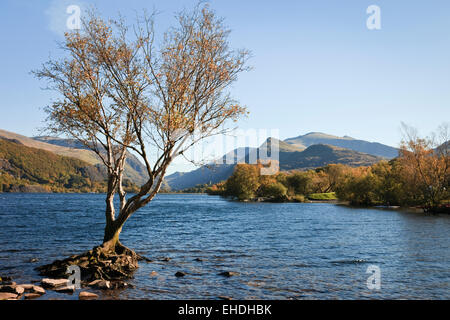 View along Llyn Padarn lake to Mount Snowdon in Snowdonia National Park in autumn. Llanberis, Gwynedd, North Wales, UK, Britain Stock Photo