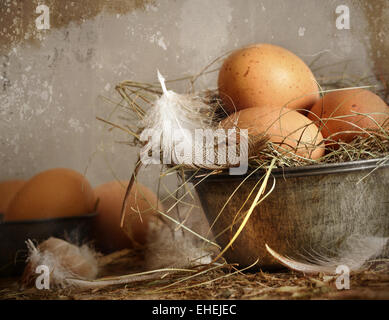 Brown speckled eggs  in old tin bowl Stock Photo