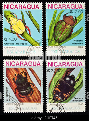 Beetles stamps collection. Stock Photo