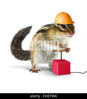 Funny chipmunk with detonator isolated on white background Stock Photo