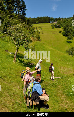 Hiker in the black forest germany Stock Photo
