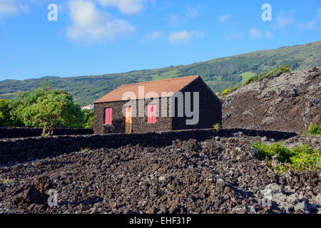Typical house made of volcanic rocks, São Mateus, Pico Island, Azores, Portugal Stock Photo