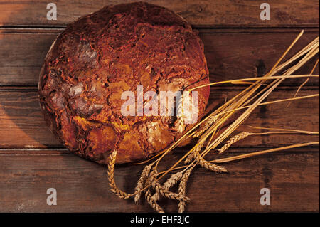 Freshly baked farmhouse bread with wheat ears, on wood Stock Photo