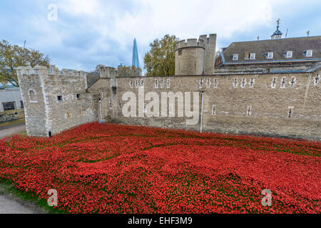 London, United Kingdom - 16 November 2014: Almost 900,000 ceramic poppies are installed at The Tower of London to commemorate Br Stock Photo