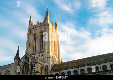 The tower of Bury St Edmunds cathedral in a soft light Stock Photo