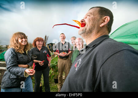 Members of the Clifton Chilli Club from Bristol meeting at the Dovercourt Allotments UK Stock Photo