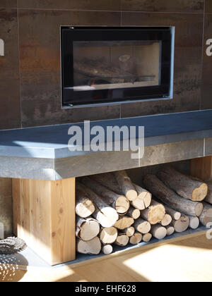 Glass front of log fire with log hold in lounge of Kusala home, UK Stock Photo