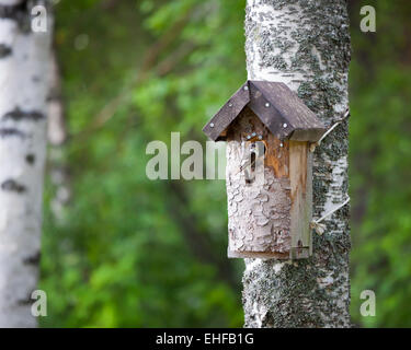 Birdhouse and tiny bird Stock Photo