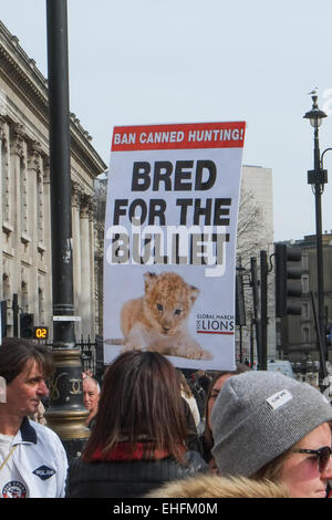 Trafalgar Square, London, UK. 13th March 2015. A Global March for Lions protest against canned lion hunting takes place in Trafalgar Square. Credit:  Matthew Chattle/Alamy Live News Stock Photo