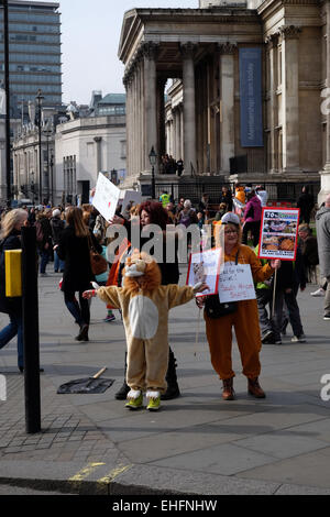 London, UK. 13th Mar, 2015. Campaign to ban canned lion hunting in South Africa held a protest in Trafalgar Square Credit:  Rachel Megawhat/Alamy Live News Stock Photo