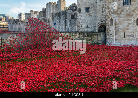 Display of ceramic red poppies at the Tower of London marking the centenary of the outbreak WW1 - EDITORIAL USE OINLY Stock Photo