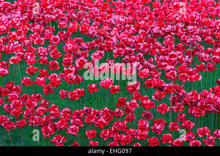 Remembrance day ceramic poppies display at the Tower of London in central London, UK marking centenary of the outbreak of WW1 Stock Photo