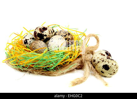 Colourful easter eggs in the nest. Stock Photo