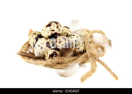 Colourful eggs in the nest. Stock Photo