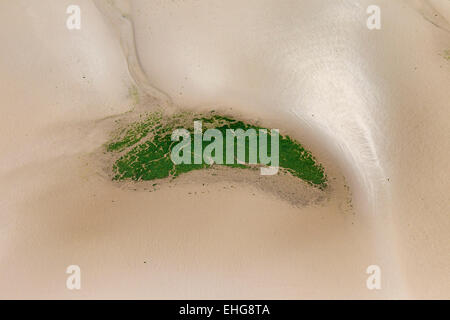 Aerial view of tidal mudflats and seagrass / eelgrass (Zostera marina), Schleswig-Holstein Wadden Sea National Park, Germany Stock Photo