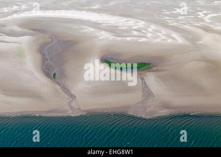 Aerial view of tidal mudflats and seagrass / eelgrass (Zostera marina), Schleswig-Holstein Wadden Sea National Park, Germany Stock Photo
