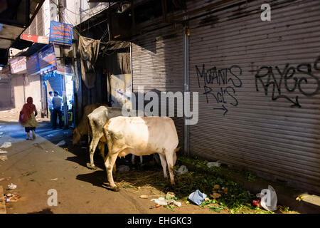 Just off Main Bazar next to New Delhi Railway Station. Stock Photo