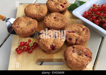 muffin Stock Photo