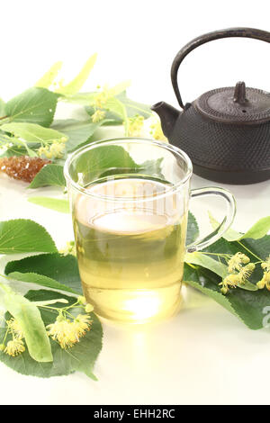 fresh hot lime blossom tea Stock Photo