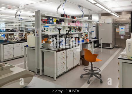University science lab - USA Stock Photo