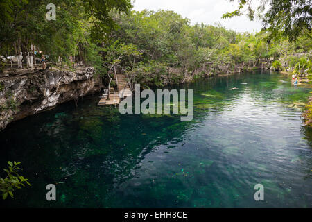 Open cenote with crystal transparent water, Tulum, Mexico Stock Photo