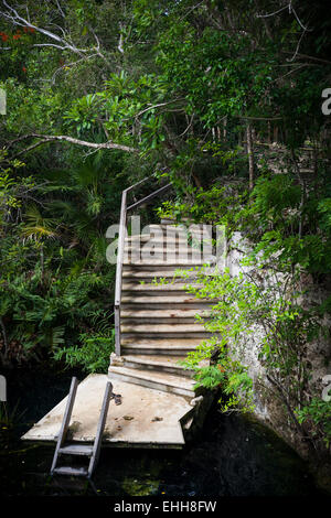 Open cenote with crystal transparent water, Tulum, Mexico Stock Photo