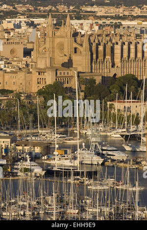 Harbour and cathedral , Palma de Majorca, S Stock Photo