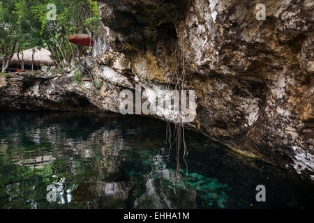 Open cenote with crystal transparent water, Tulum, Mexico Stock Photo