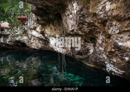 Open cenote with crystal transparent water, Tulum, Mexico Stock Photo