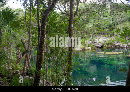 Open cenote with crystal transparent water, Tulum, Mexico Stock Photo