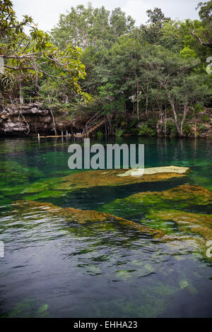 Open cenote with crystal transparent water, Tulum, Mexico Stock Photo