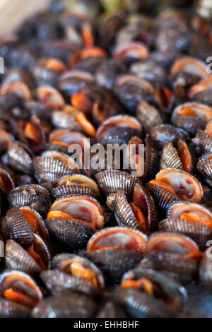 Oysters, mussels and scallops on asian market Stock Photo