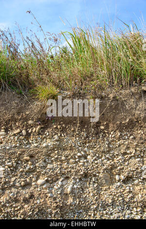 cross section of sedimentary layers in a outdoor Stock Photo