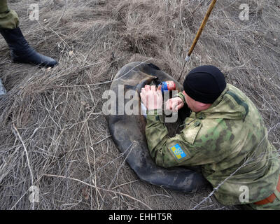 Lugansk, Ukraine. 12th Mar, 2015. Sappers have discovered an improvised explosive device -- Task Force Security Service of Ukraine together with the police on Thursday, March 12, 2015, prevented a terrorist act near the critical infrastructure of the region - road and railway in the Luhansk region. Law enforcers found on the side of the road 'Lisichansk-Artemivs'k' improvised explosive device directed action disguised as a fire extinguisher. Credit:  Igor Golovnov/Alamy Live News Stock Photo