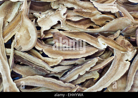 Piles of Dried Shiitake Mushroom , background Stock Photo