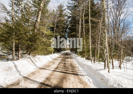 Country Road in Winter Stock Photo