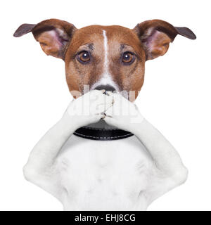 covering mouth dog Stock Photo