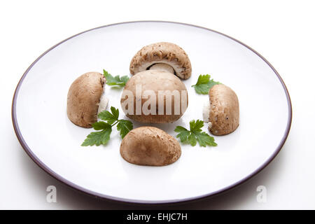 Brown champignons Stock Photo