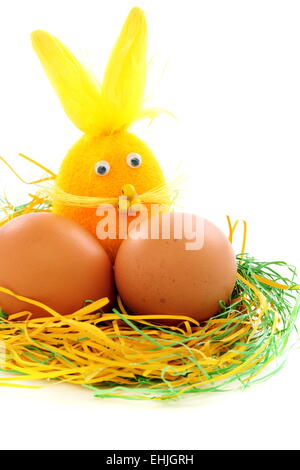 Eggs and the Easter bunny in the nest. Stock Photo
