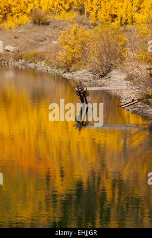 Fall colors reflect in Colorado lake Stock Photo