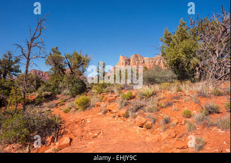 Sweeping view of Courthouse Butte and other red rock buttes, and southwestern desert landscape, Sedona, Arizona, USA, May 2014. Stock Photo