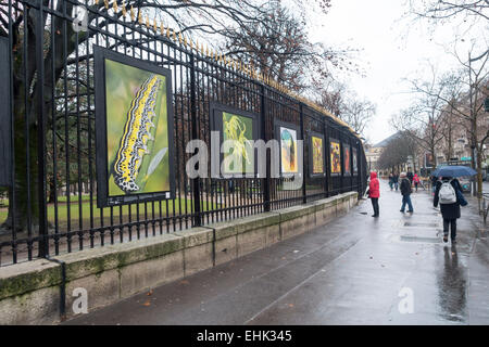 Photography exhibition on the iron railings of the Jardin du Luxembourg, Paris Stock Photo