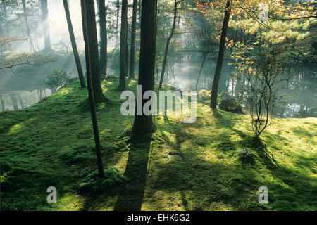 Saiho-ji, also known as Koka-dera, or the Moss Temple, is one of the  most venerable gardens in the Arashyama district of Kyoto. Stock Photo