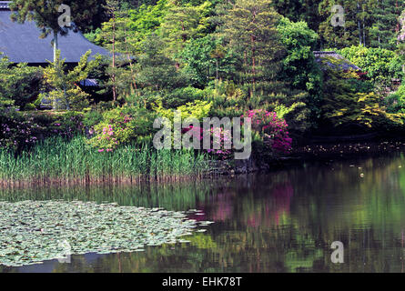 The City of Kyoto is a unique reserve for ancient Zen gardens and shrines that are over nine hundred years old. Stock Photo