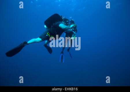 Two diver gathering shells, Cuba Stock Photo