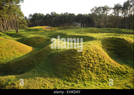 A hundred years on deep craters and shell holes still scar Vimy Ridge, Belgium. Stock Photo