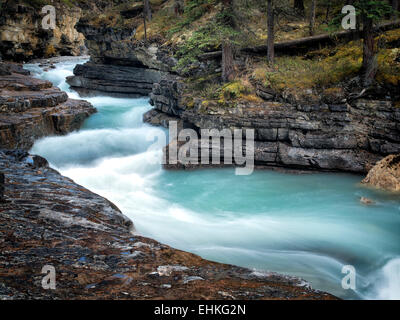 Stream in Beauty Creek. Jasper National Park, Alberta Canada Stock Photo
